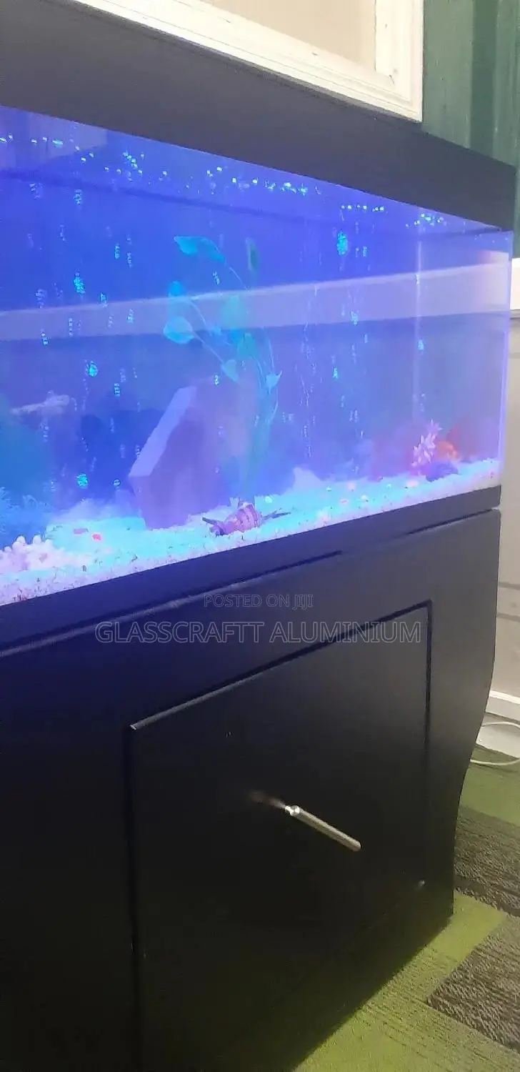 42 Litres Aquarium Tank