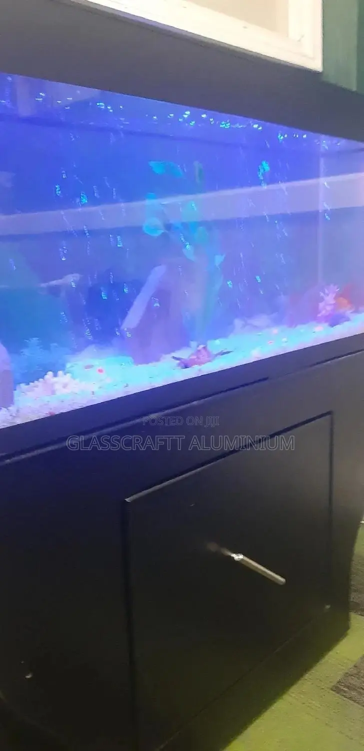 42 Litres Aquarium Tank