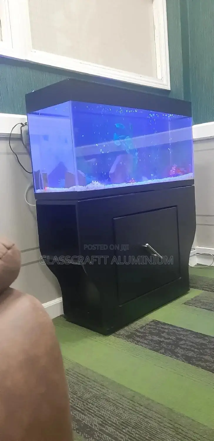 42 Litres Aquarium Tank