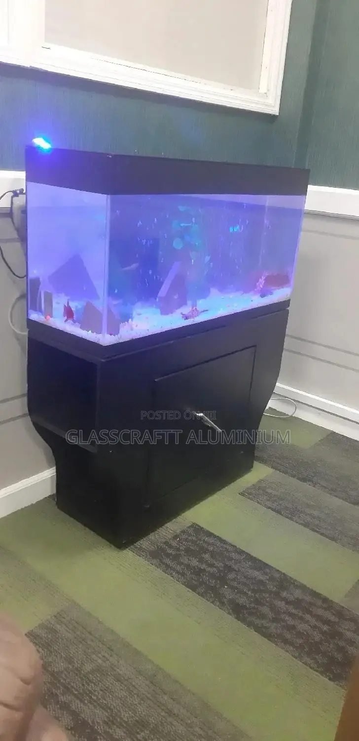 42 Litres Aquarium Tank