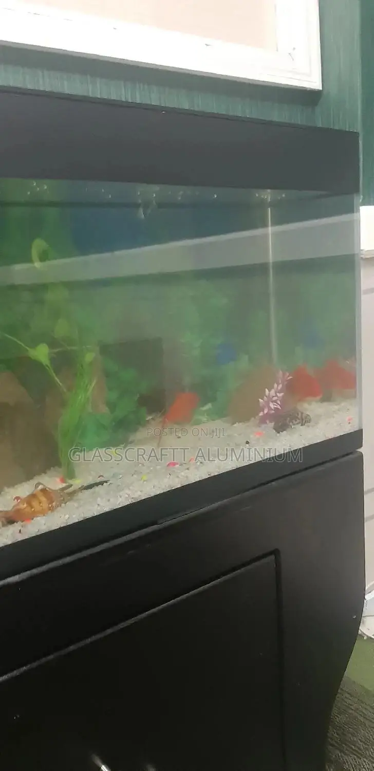 42 Litres Aquarium Tank