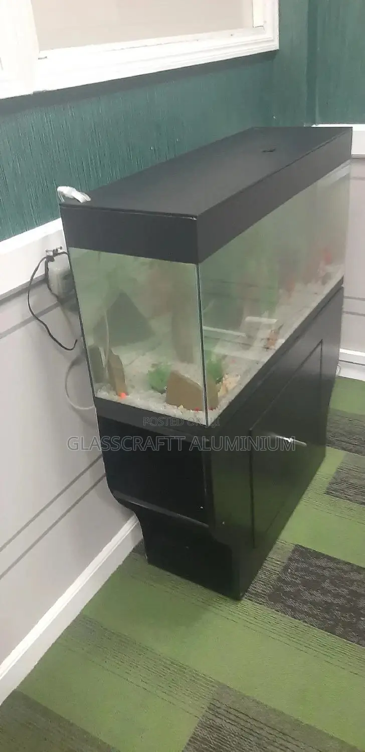 42 Litres Aquarium Tank
