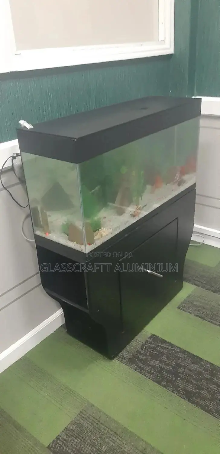 42 Litres Aquarium Tank