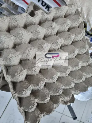 100pcs Carton Paper Manilla Egg Trays