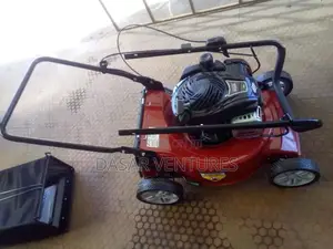 Lawn Mower 5hp