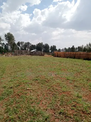 1/4 Plot Outspan Good for Residential