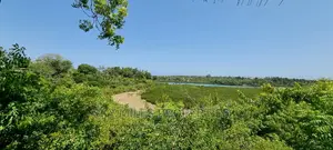 1.2 Acres Creek Beach Property on Sale Mtwapa
