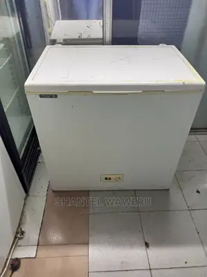 Deep Freezer Fridge