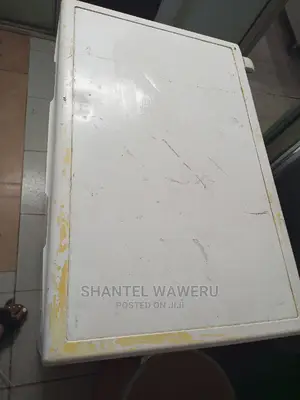 Deep Freezer Fridge