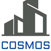 Raymond Cosmos logo
