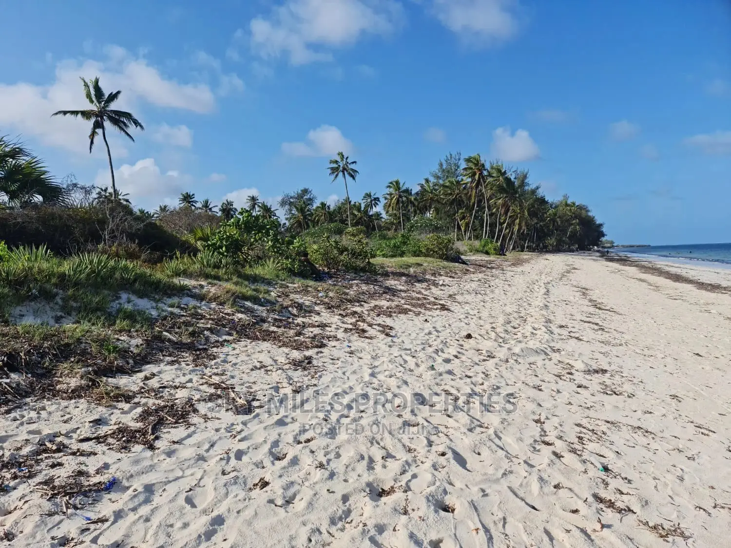 A Parcel of 10 Acres White Sandy Beach on Sale in Kikambala