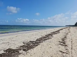A Parcel of 10 Acres White Sandy Beach on Sale in Kikambala