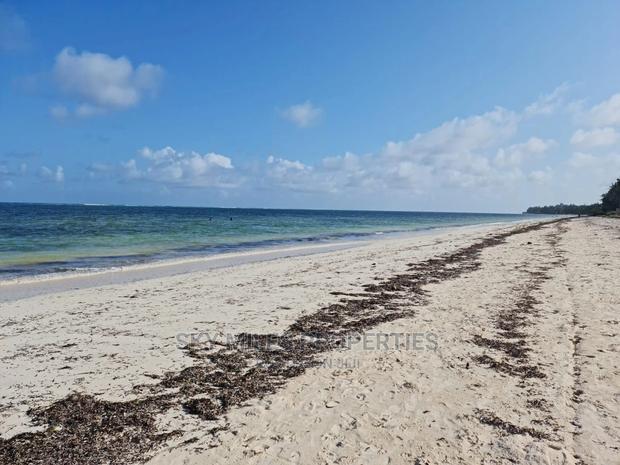 A Parcel of 10 Acres White Sandy Beach on Sale in Kikambala - thumbnail 3