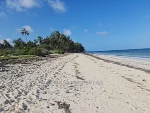 A Parcel of 10 Acres White Sandy Beach on Sale in Kikambala