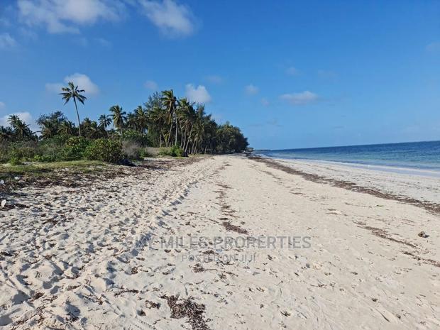 A Parcel of 10 Acres White Sandy Beach on Sale in Kikambala - thumbnail 5