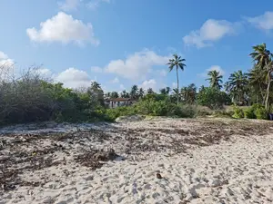A Parcel of 10 Acres White Sandy Beach on Sale in Kikambala
