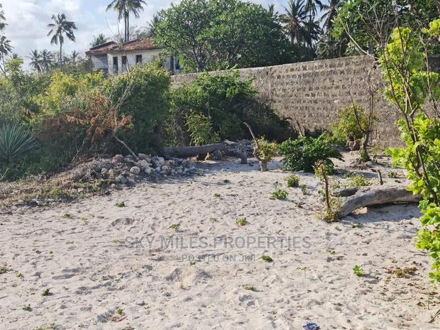 A Parcel of 10 Acres White Sandy Beach on Sale in Kikambala - thumbnail 6