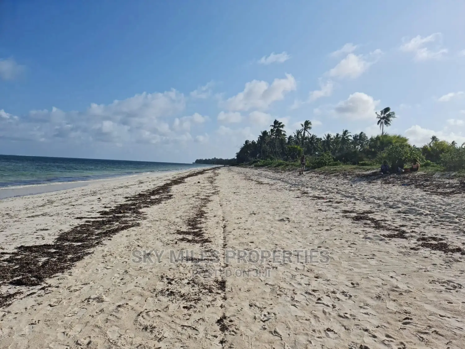 A Parcel of 10 Acres White Sandy Beach on Sale in Kikambala