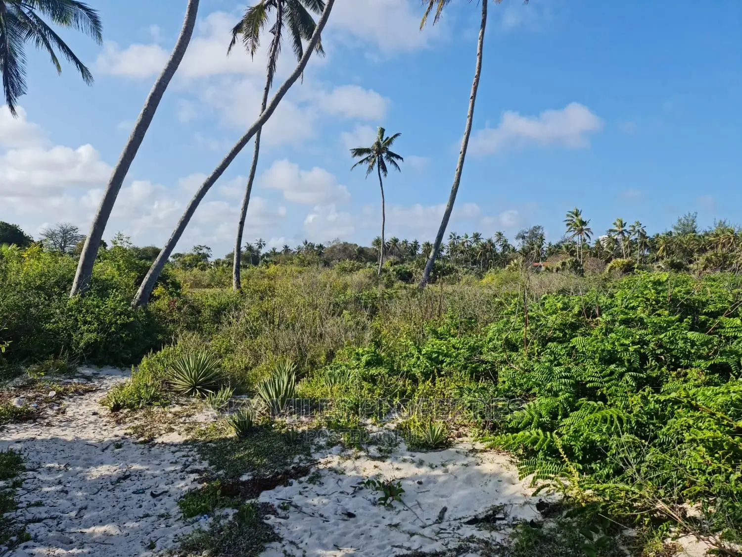 A Parcel of 10 Acres White Sandy Beach on Sale in Kikambala