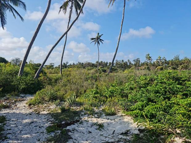 A Parcel of 10 Acres White Sandy Beach on Sale in Kikambala - thumbnail 7