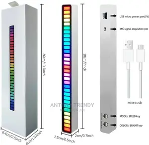 LED Pickup Rhythm Light Strip Sound