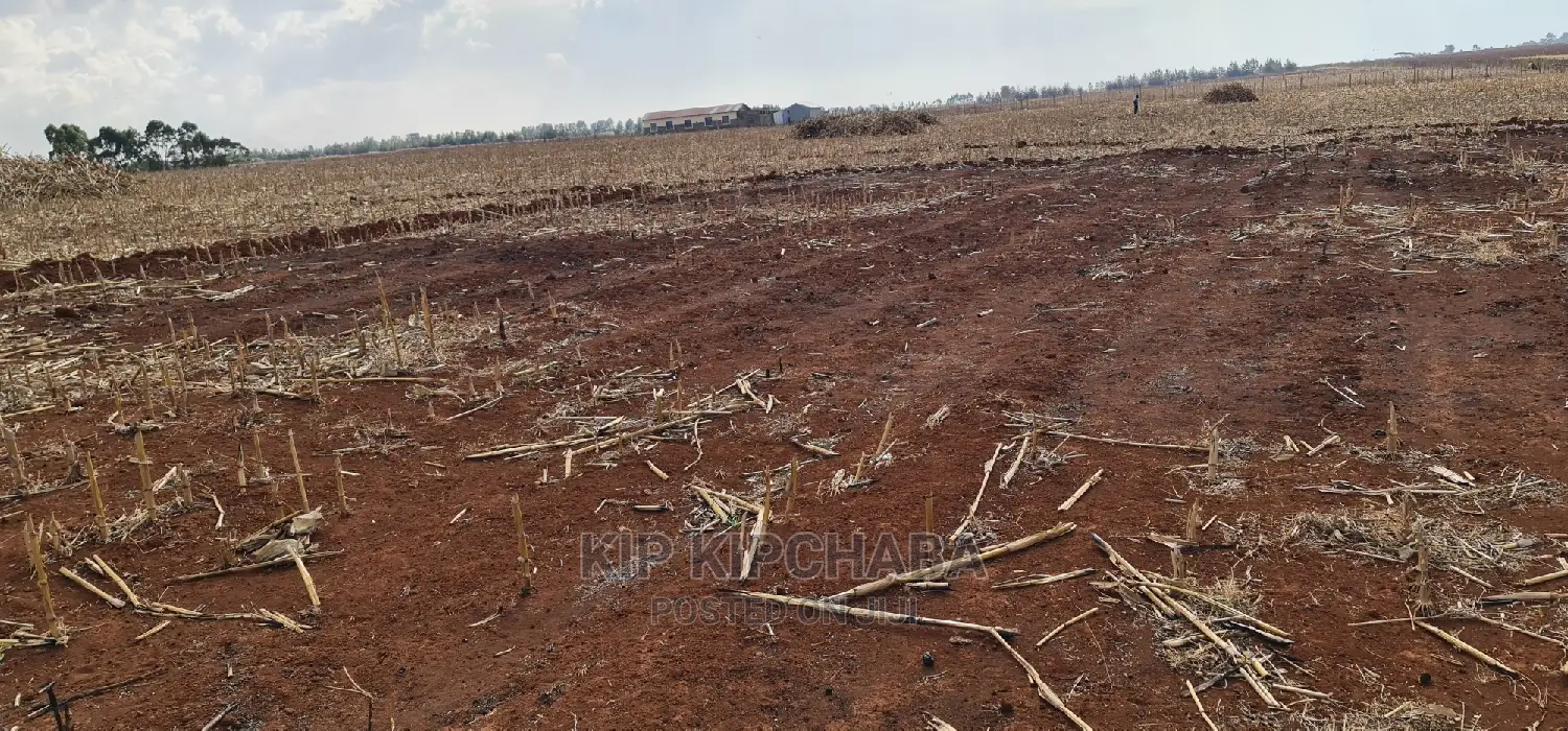 Prime 5 Acres Land for Sale in Ray Farm Moiben Eldoret