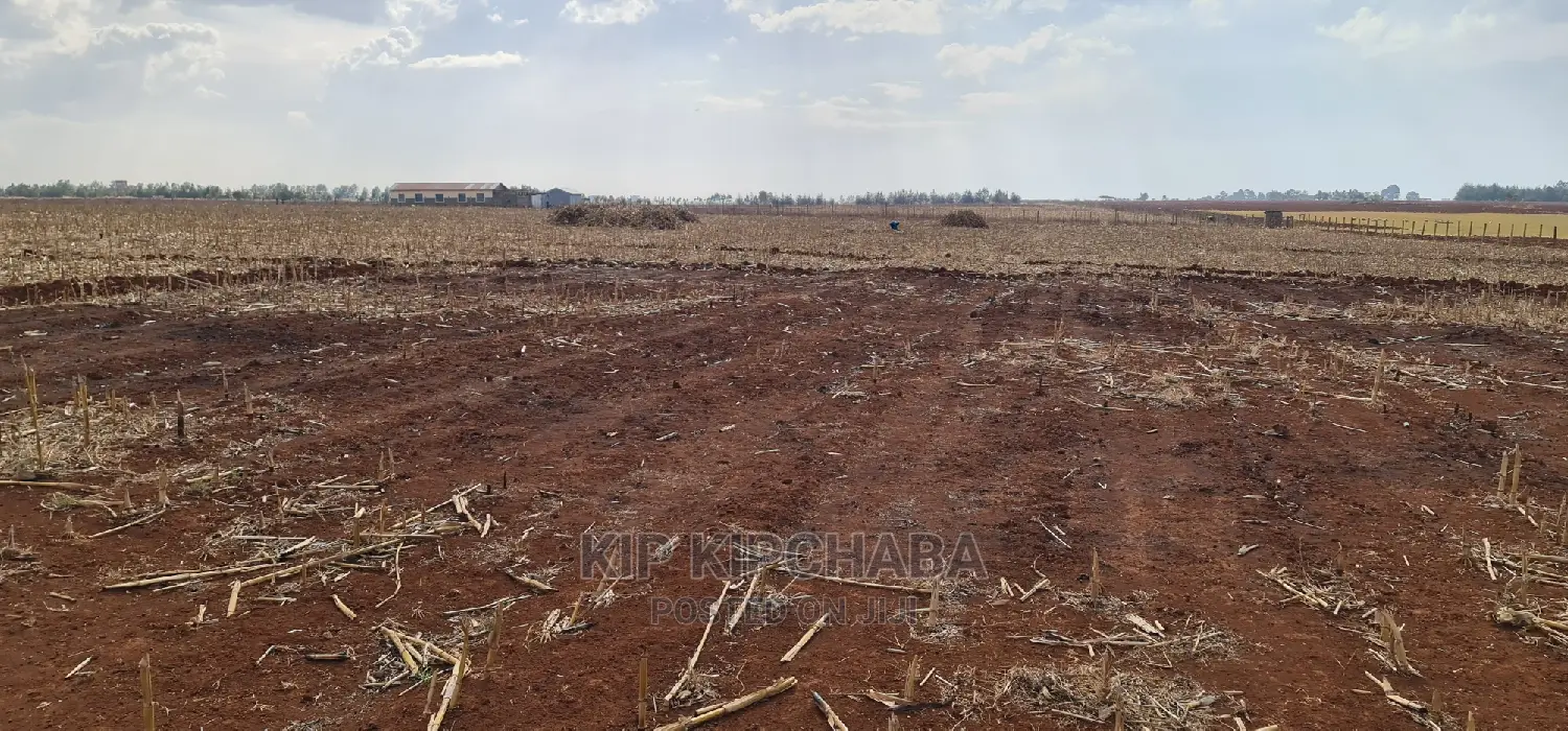 Prime 5 Acres Land for Sale in Ray Farm Moiben Eldoret