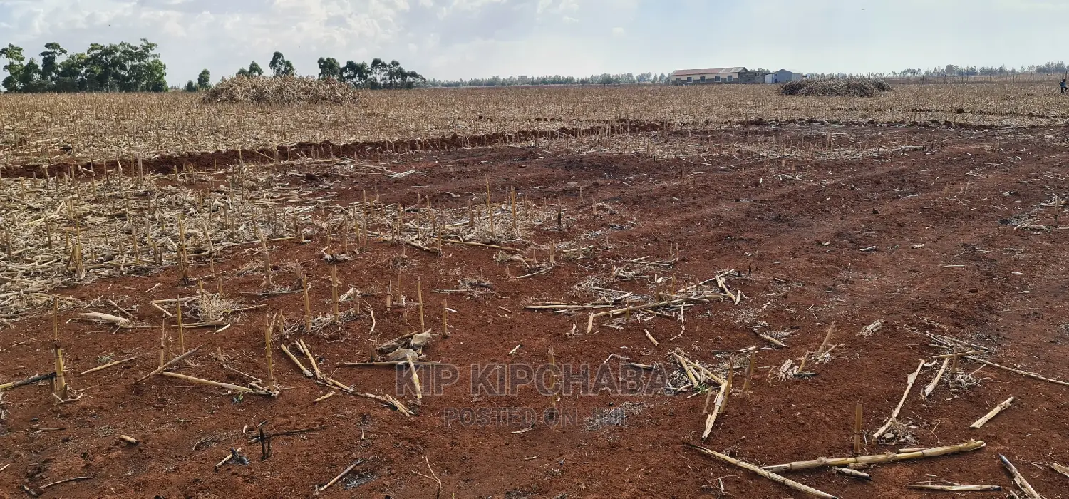 Prime 5 Acres Land for Sale in Ray Farm Moiben Eldoret