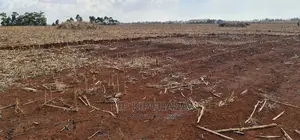 Prime 5 Acres Land for Sale in Ray Farm Moiben Eldoret
