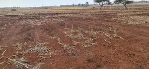 Prime 5 Acres Land for Sale in Ray Farm Moiben Eldoret