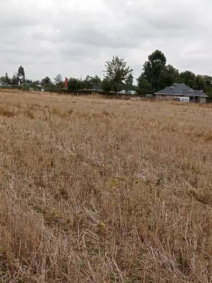 1/4 Plots Chepkanga for Residential