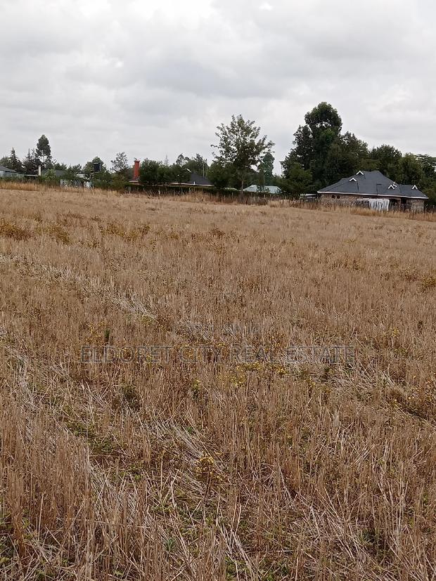 1/4 Plots Chepkanga for Residential
