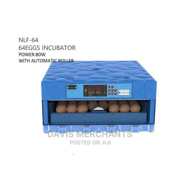64 Eggs Incubator With Automatic Roller - main view