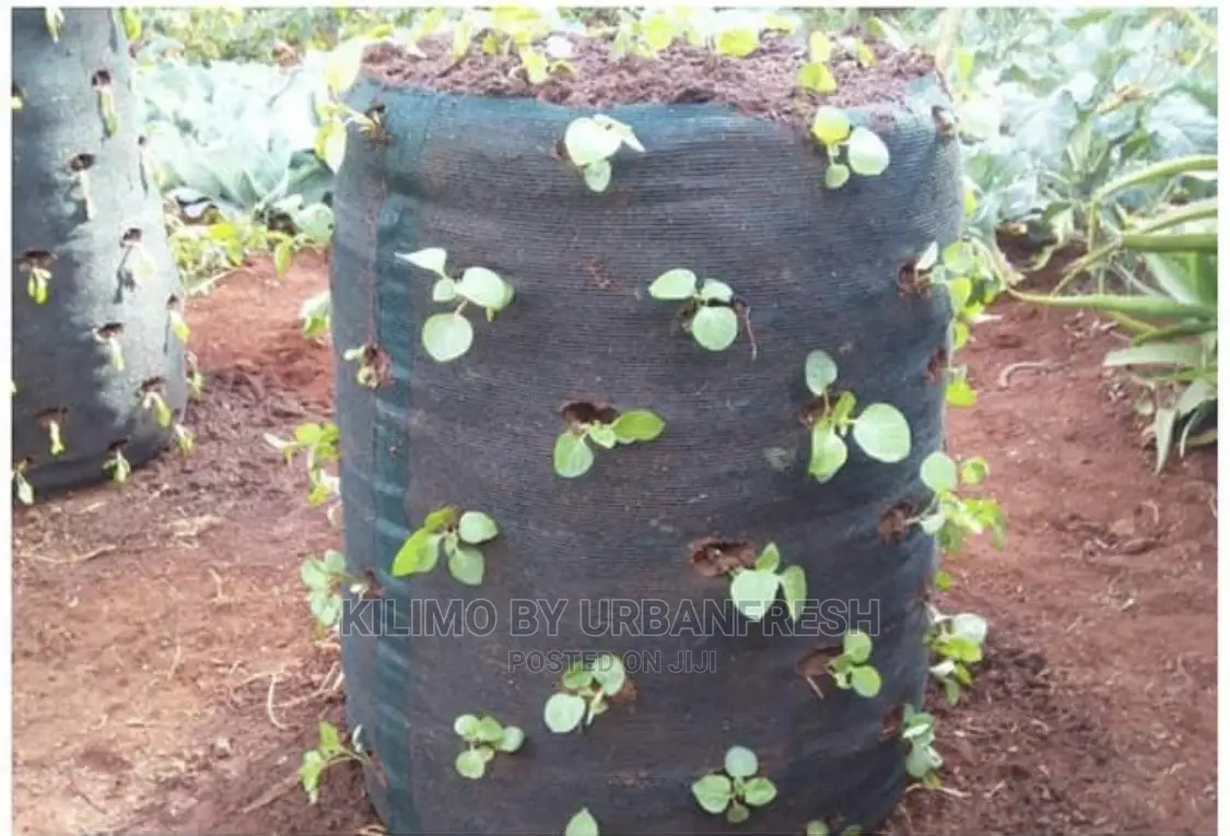 Vertical Grow Bags.