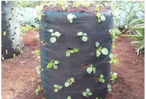 Vertical Grow Bags.