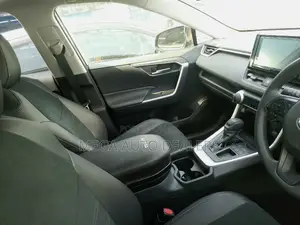 Toyota RAV4 2020 Gray