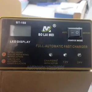 Fast Battery Charger Best Charger Automatic 12v and 24v