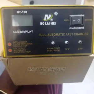 Automatic Battery Charger With Pulse Repair