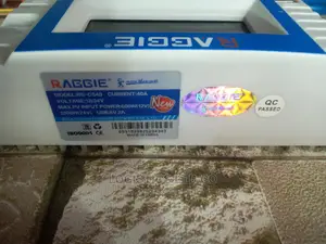 Raggie Solar Charger Controller 40A