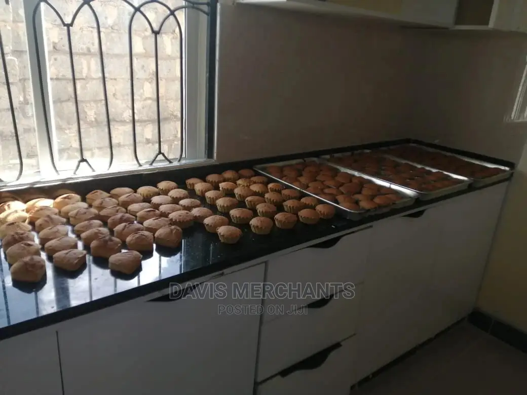 PROFESSIONAL COMMERCIAL OVEN With 6 Trays