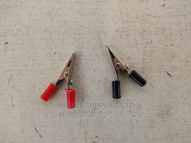 A Set of 10 Crocodile Clips