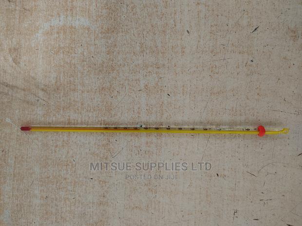 A Pair of Alcohol Thermometer - main view