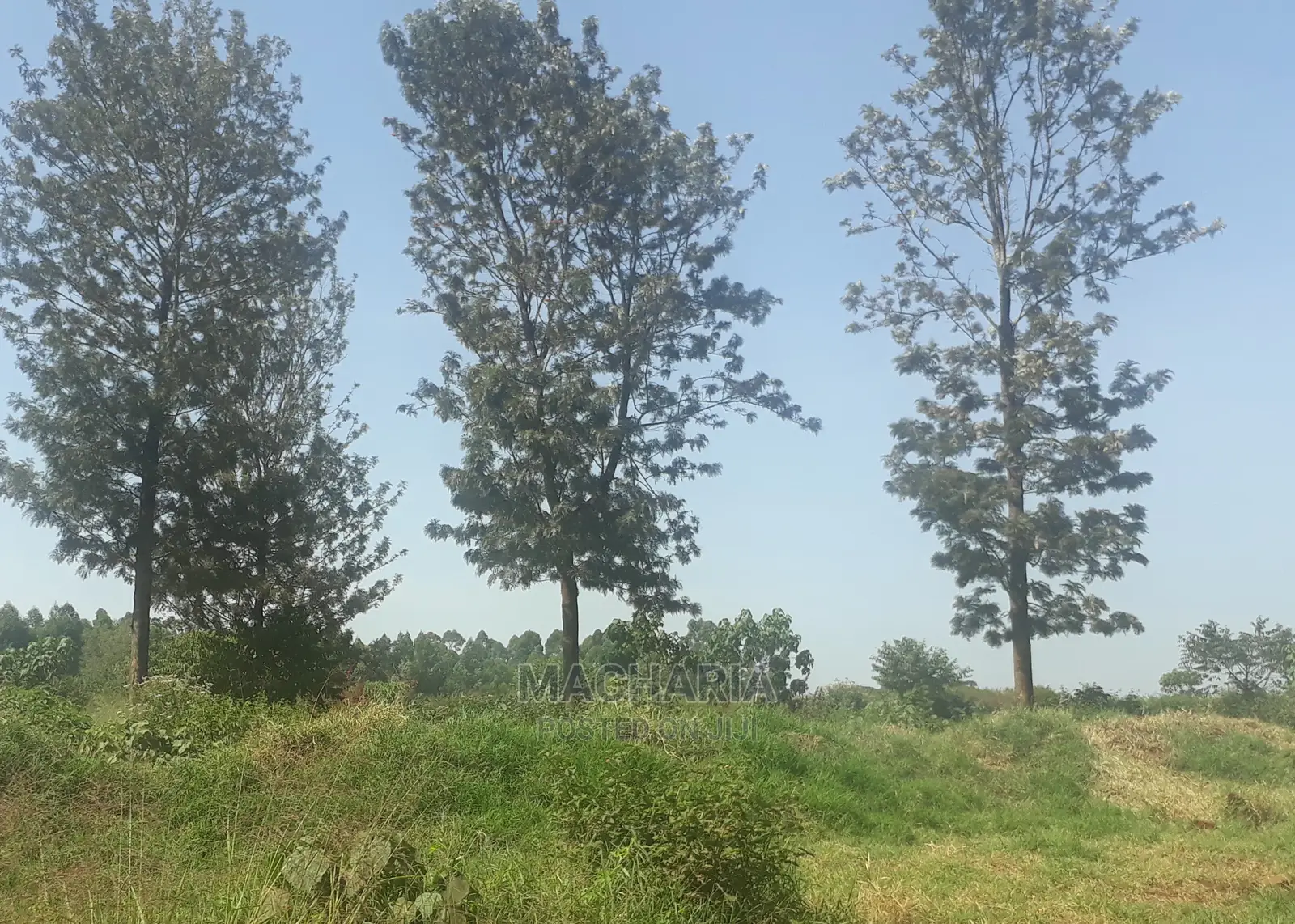 Plots for Sale in Ruiru, Kiambu