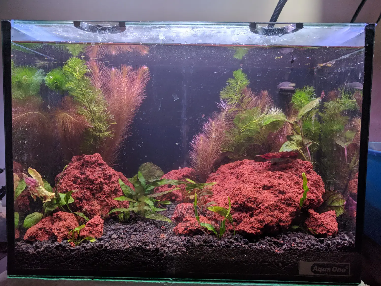 Lava Rocks (Basalt) for Fire Grill/Pit and Fish Aquarium