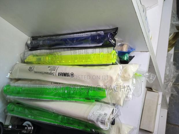 Recorder Instrument - thumbnail 2