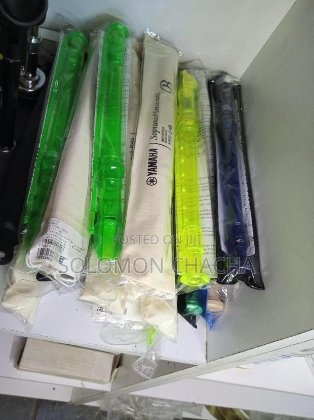 Recorder Instrument - main view