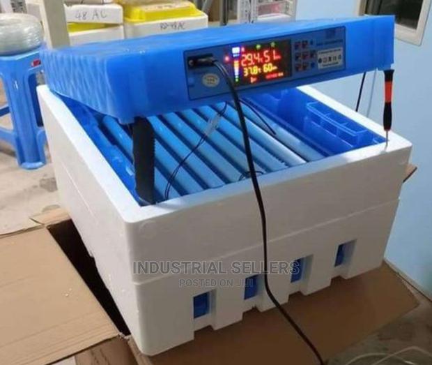 Top Best 128 Egg Incubator Automatic Ac/Dc - main view
