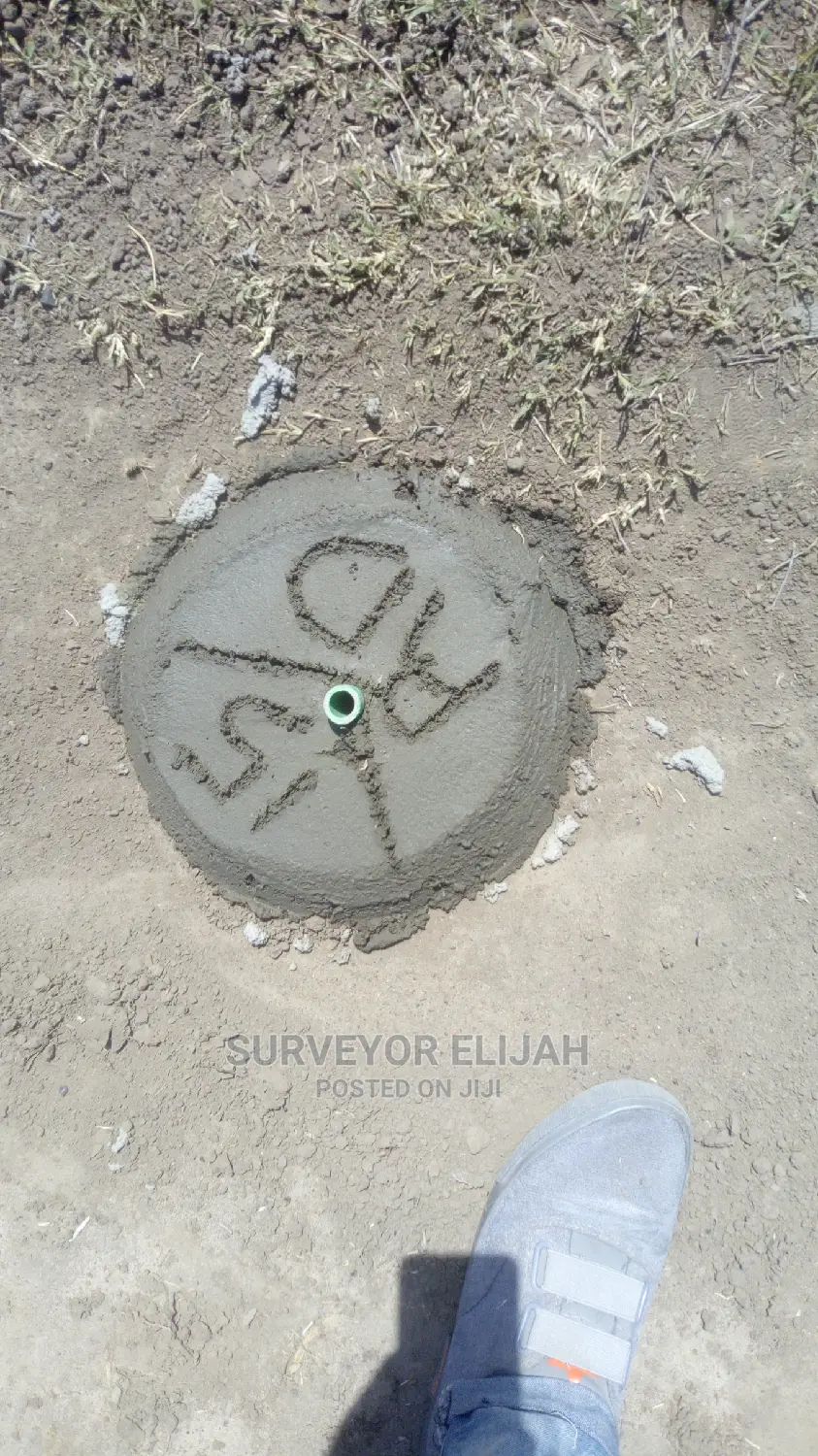 Land Surveyor