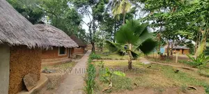 Cultural Self-Contained Huts Available for Short Term Rental