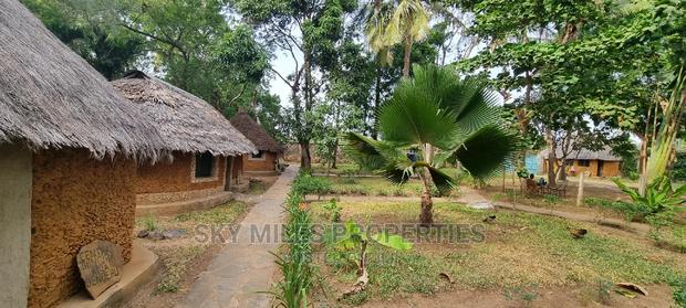 Cultural Self-Contained Huts Available for Short Term Rental - thumbnail 3